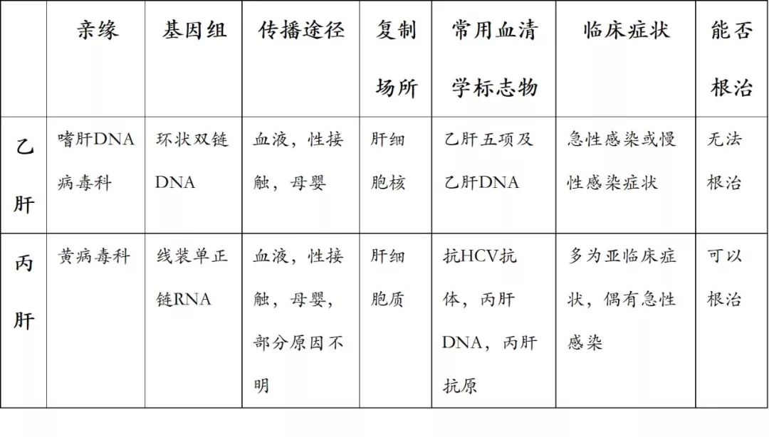 丙肝與乙肝相差不止一個字