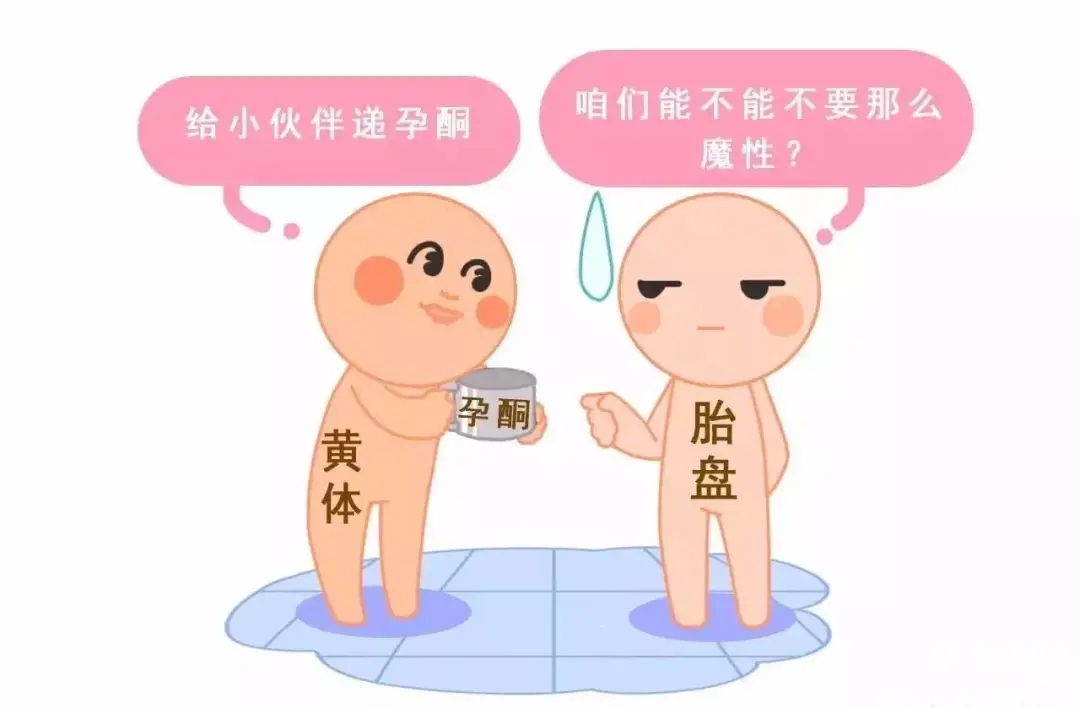 HCG和孕酮低一定會(huì)流產(chǎn)？備孕女性必須知道的孕早期“秘密”