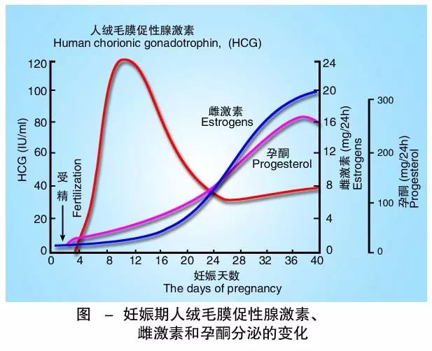 懷孕期間HCG低怎么辦？