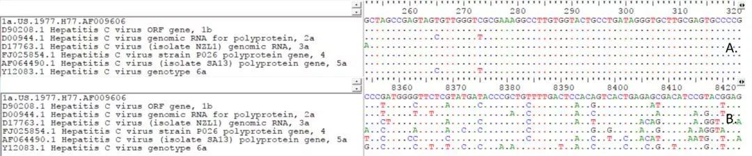 A.5’端非編碼區序列；B.NS5序列